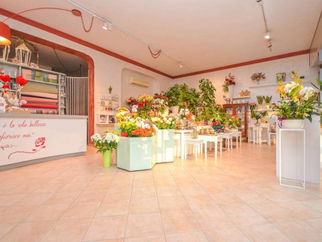 Attività / Licenza in vendita a Altavilla Vicentina VI