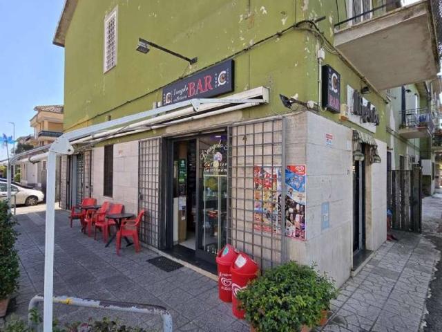 Attività / Licenza in vendita a Anguillara Sabazia RM