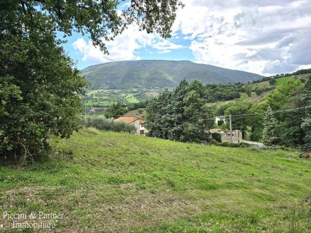 Attività / Licenza in vendita a Assisi PG
