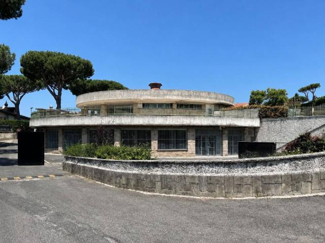 Attività / Licenza in vendita a Ardea RM