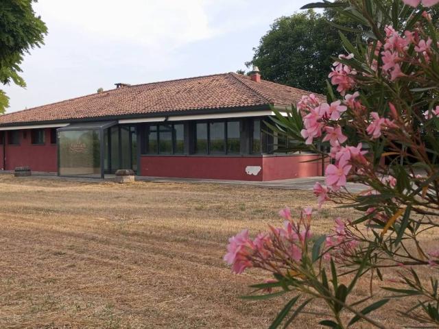 Attività / Licenza in vendita a Badia Polesine RO