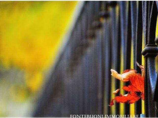 Attività / Licenza in vendita a Bagno a Ripoli FI