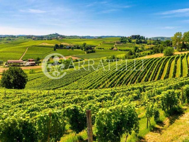Attività / Licenza in vendita a Barberino Tavarnelle FI