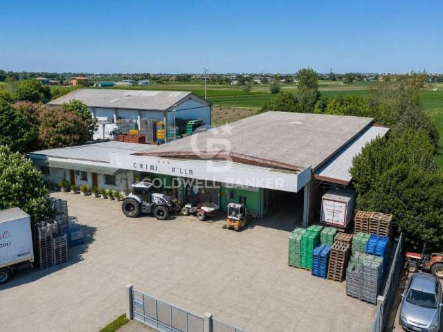 Attività / Licenza in vendita a Bellaria Igea Marina RN