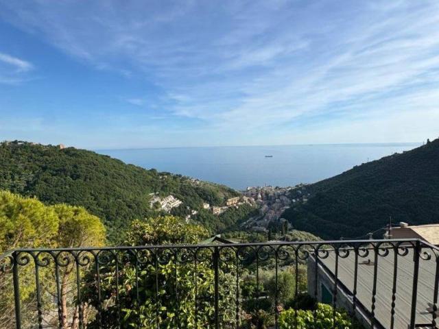 Attività / Licenza in vendita a Bogliasco GE