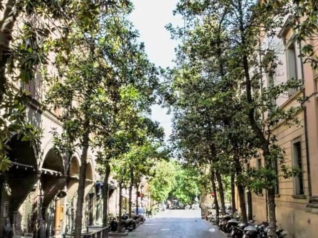 Attività / Licenza in vendita a Bologna BO