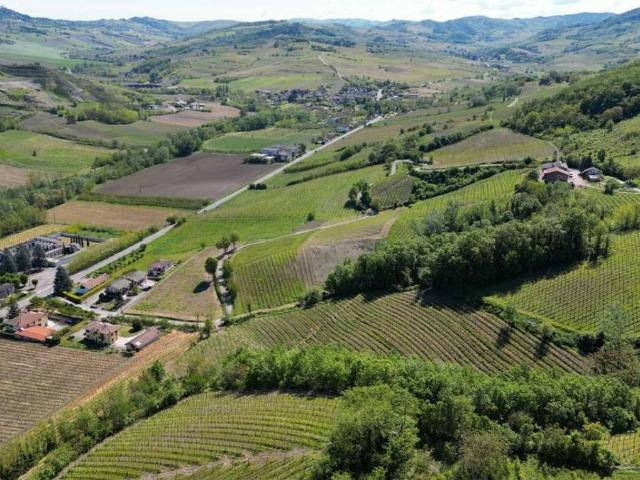 Attività / Licenza in vendita a Borgo Priolo PV