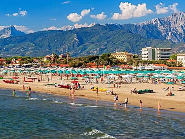 Attività / Licenza in vendita a Camaiore LU