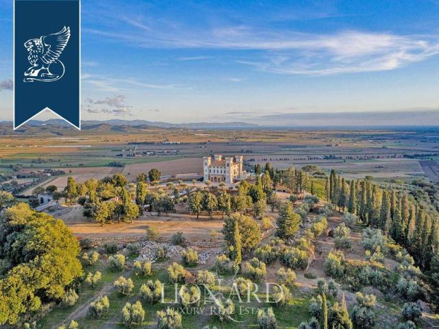 Attività / Licenza in vendita a Campiglia Marittima LI