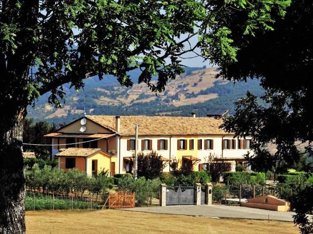 Attività / Licenza in vendita a Calvello PZ