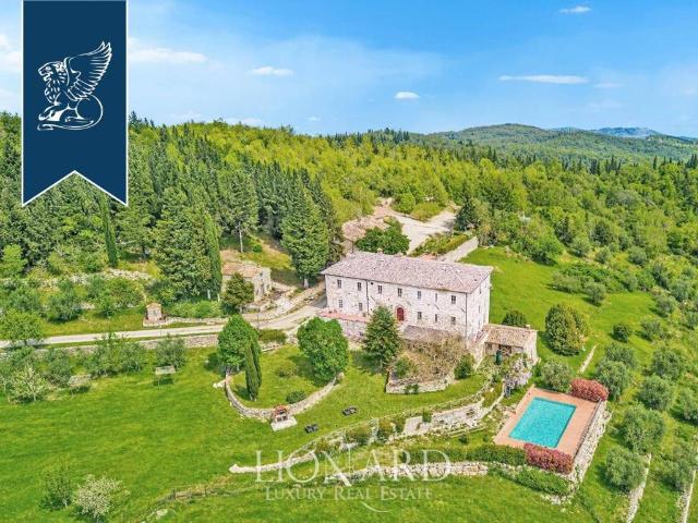 Attività / Licenza in vendita a Castellina in Chianti SI