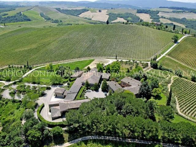 Attività / Licenza in vendita a Castellina in Chianti SI
