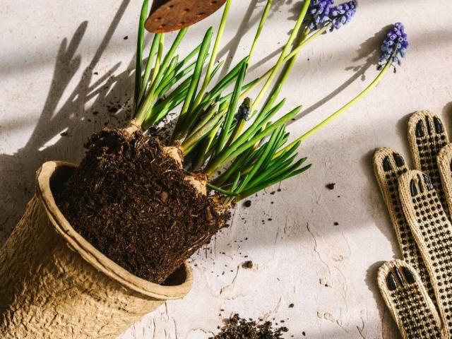 Attività / Licenza in vendita a Casale Monferrato AL