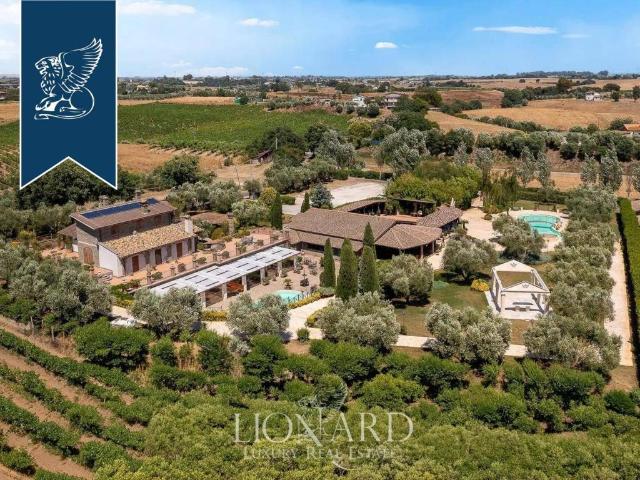 Attività / Licenza in vendita a Cerveteri RM