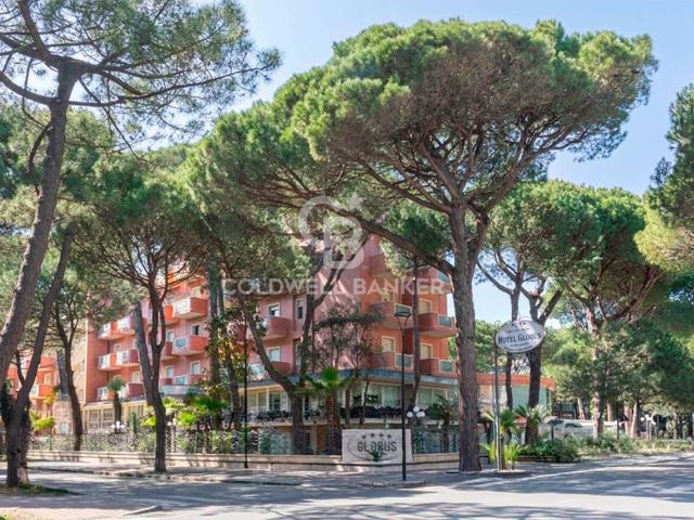 Attività / Licenza in vendita a Cervia RA