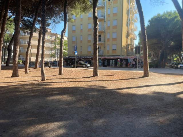 Attività / Licenza in vendita a Cervia RA