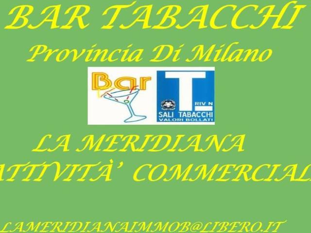 Attività / Licenza in vendita a Cernusco sul Naviglio MI