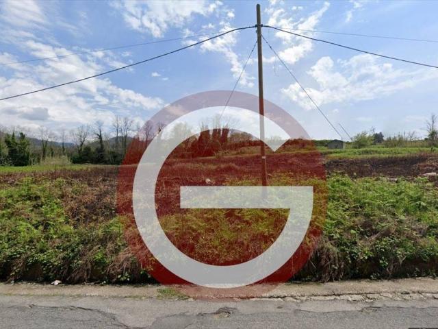 Attività / Licenza in vendita a Cinquefrondi RC