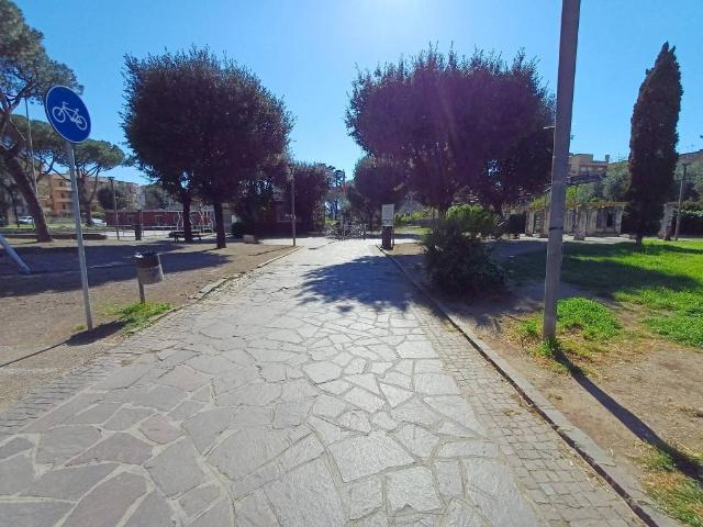 Attività / Licenza in vendita a Ciampino RM