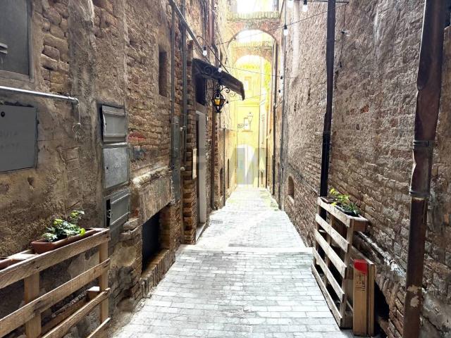 Attività / Licenza in vendita a Città Sant'Angelo PE