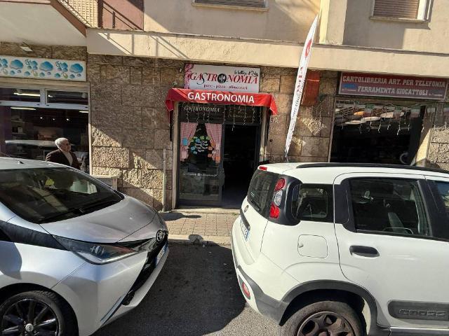 Attività / Licenza in vendita a Civitavecchia RM