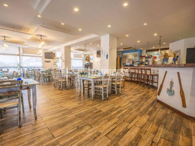 Attività / Licenza in vendita a Civitanova Marche MC