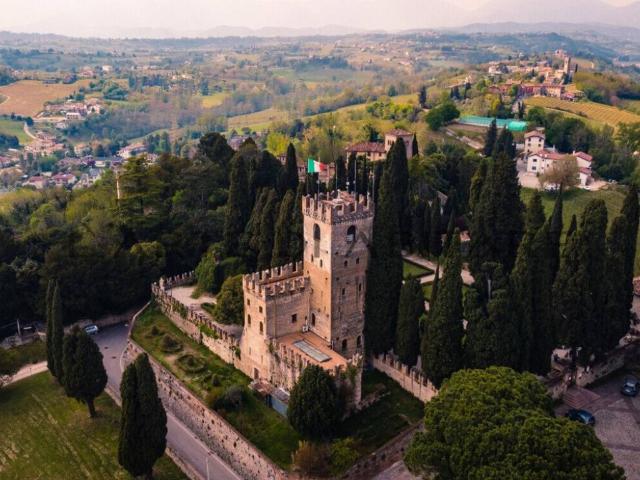 Attività / Licenza in vendita a Conegliano TV