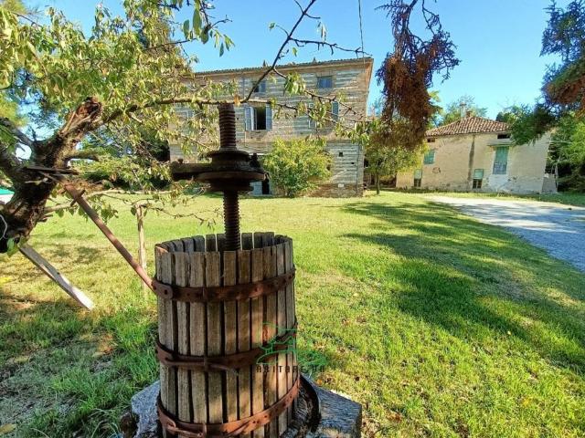 Attività / Licenza in vendita a Colli al Metauro PU