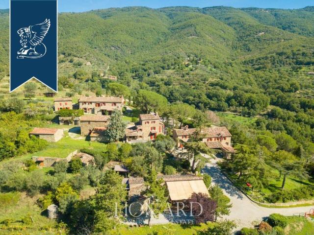 Attività / Licenza in vendita a Cortona AR
