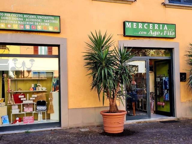 Attività / Licenza in vendita a Cortona AR