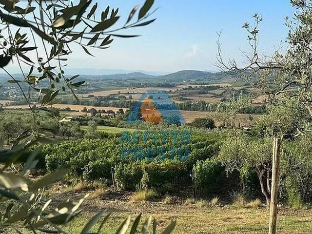 Attività / Licenza in vendita a Empoli FI