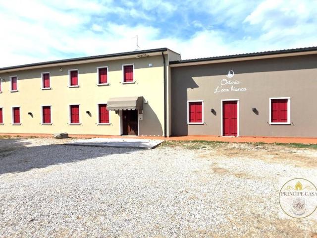 Attività / Licenza in vendita a Este PD