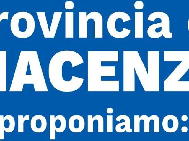 Attività / Licenza in vendita a Fidenza PR