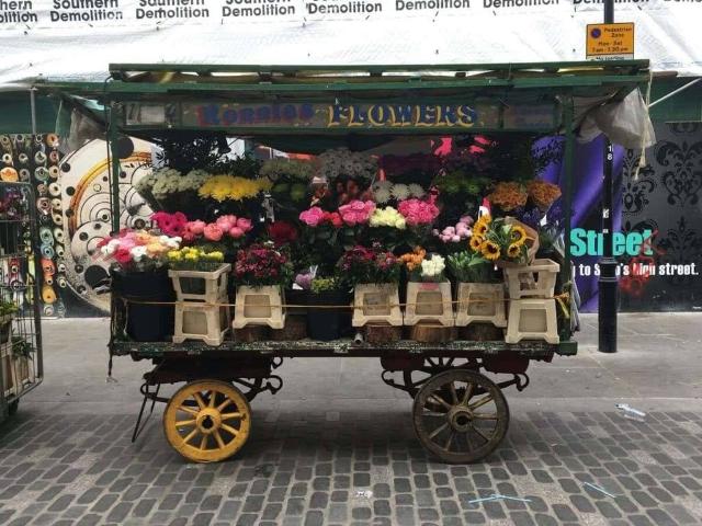 Attività / Licenza in vendita a Firenze FI