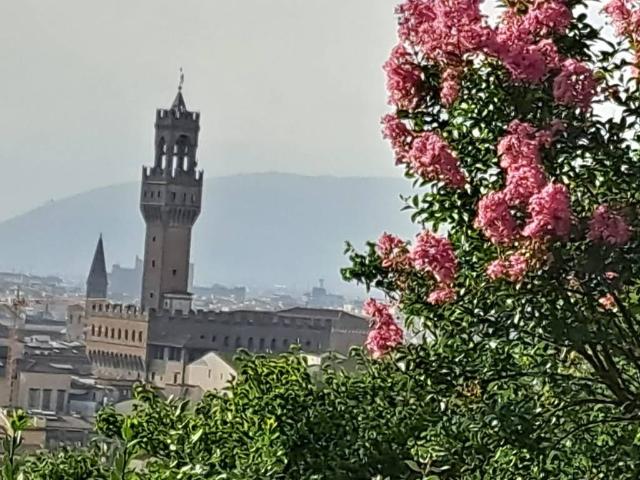 Attività / Licenza in vendita a Firenze FI