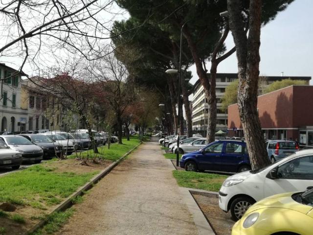 Attività / Licenza in vendita a Firenze FI