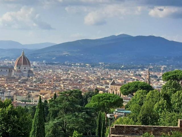 Attività / Licenza in vendita a Firenze FI