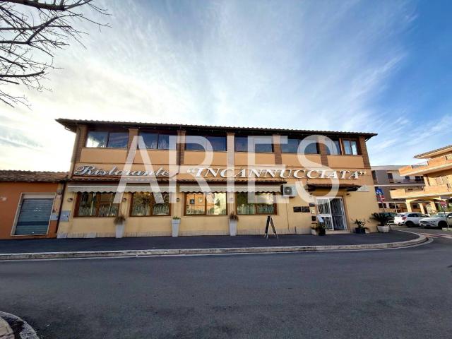 Attività / Licenza in vendita a Fiumicino RM