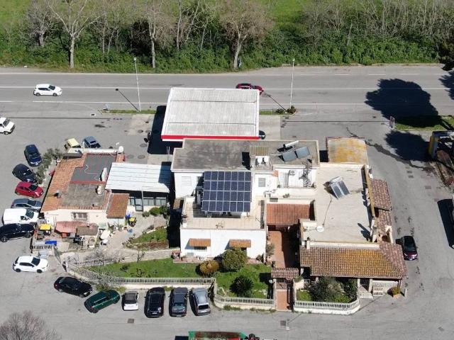 Attività / Licenza in vendita a Fiumicino RM