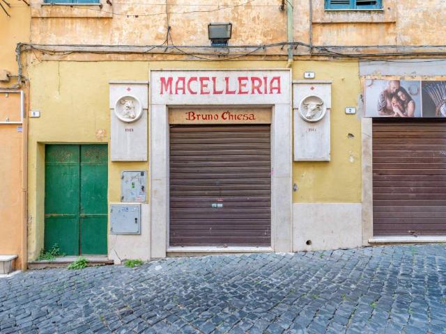 Attività / Licenza in vendita a Frascati RM