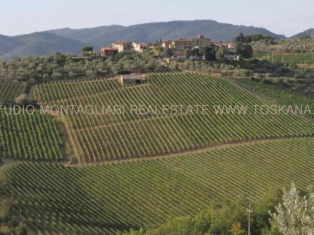 Attività / Licenza in vendita a Gaiole in Chianti SI