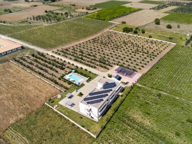 Attività / Licenza in vendita a Galatone LE
