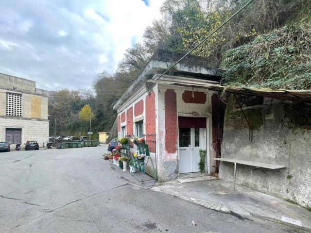 Attività / Licenza in vendita a Genova GE
