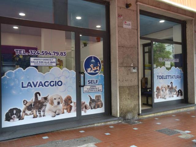 Attività / Licenza in vendita a Genova GE