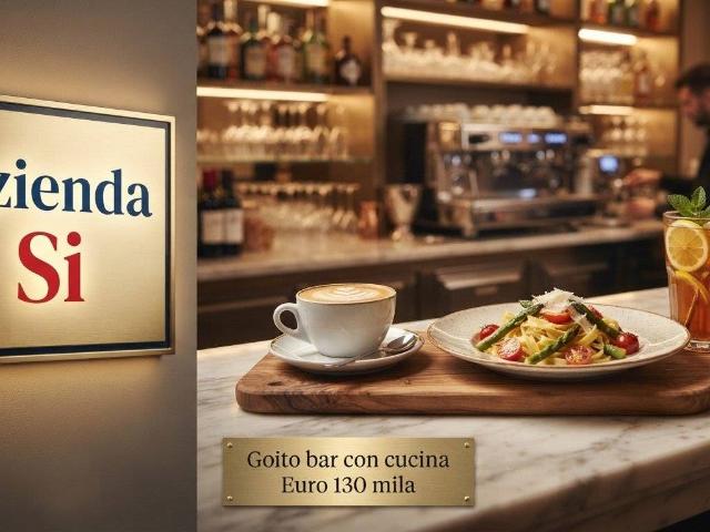 Attività / Licenza in vendita a Goito MN