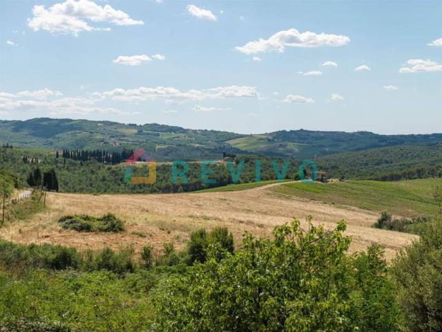 Attività / Licenza in vendita a Greve in Chianti FI