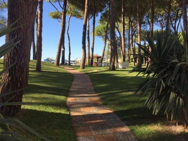 Attività / Licenza in vendita a Jesolo VE