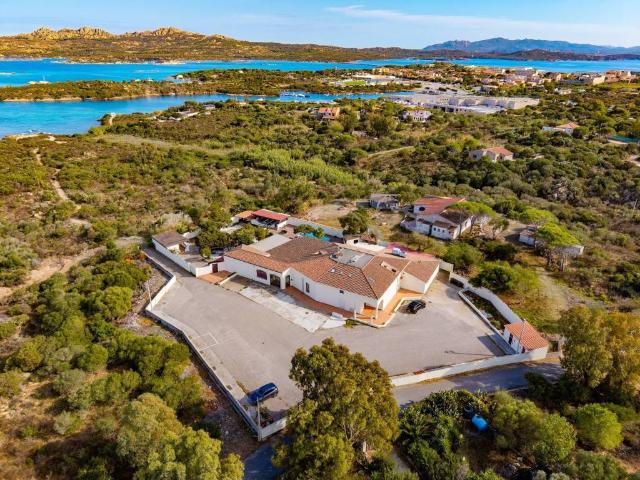 Attività / Licenza in vendita a La Maddalena OT