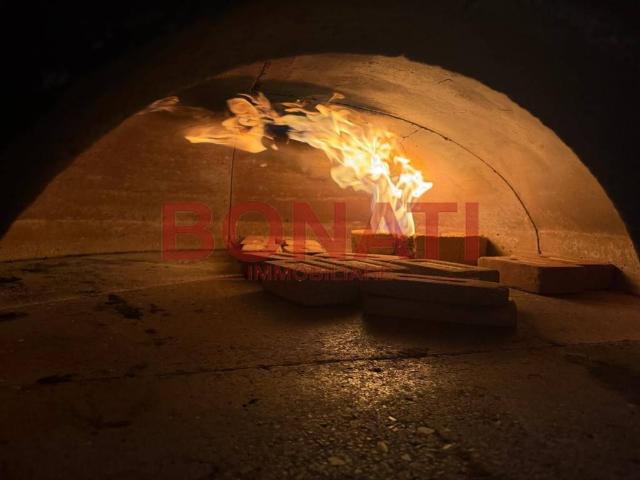 Attività / Licenza in vendita a La Spezia SP