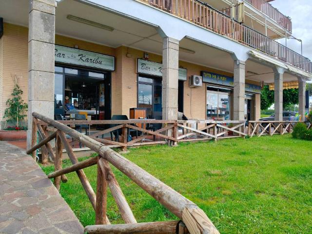 Attività / Licenza in vendita a Ladispoli RM